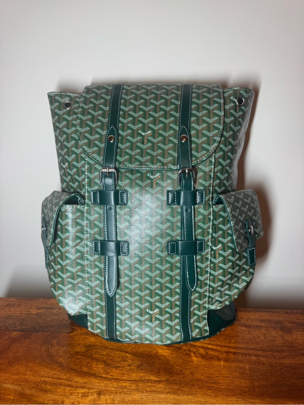Green Patterned Backpack. Brand New. No Brand.